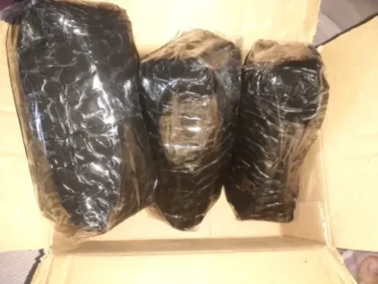 Cindella 1200mg 10 Sessions Gluathione Injection For Skin Whitening photo review