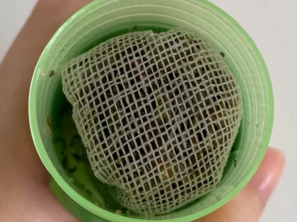 Hong Thai Traditional Thai Herb Inhalant photo review