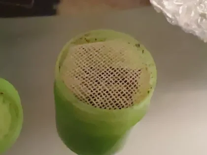 Hong Thai Traditional Thai Herb Inhalant photo review